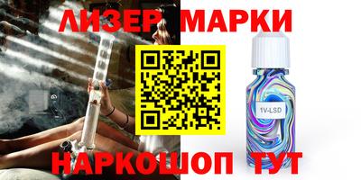 шишки Славгород