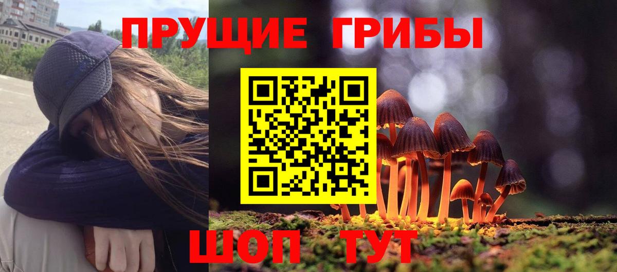 Псилоцибиновые грибы прущие грибы  Вход с VPN  Псилоцибиновые грибы ЛСД  Осинники 